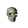 skelett1