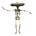 skelett10