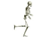skelett11