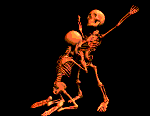 skelett12