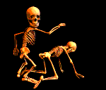 skelett13
