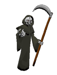 skelett26