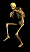 skelett3