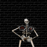skelett7