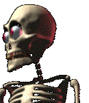 skelett8