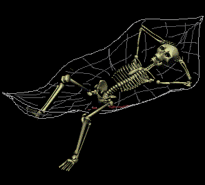 skelett9